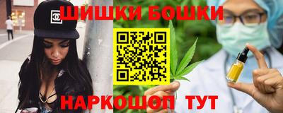 прущие грибы Можга