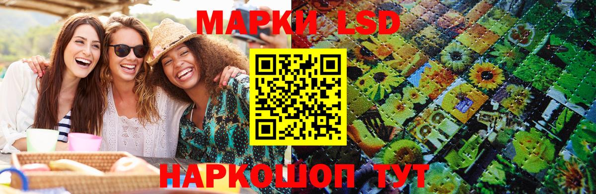 магазин продажи наркотиков  Наркотические марки 1,5мг  Вход с VPN  Наркотические марки 1,5мг  Волгоград 