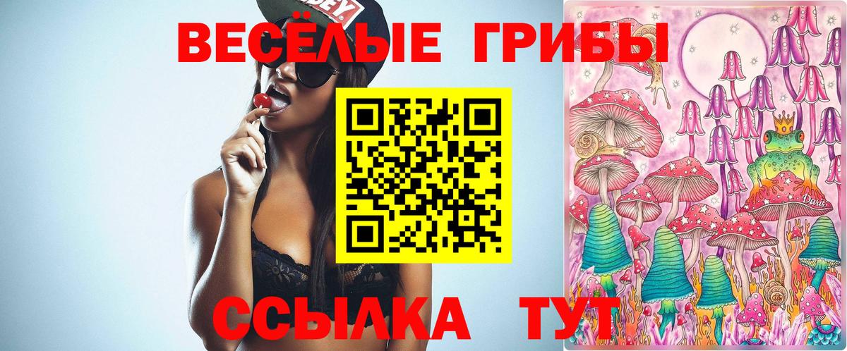 Галлюциногенные грибы Psilocybine cubensis Волгоград