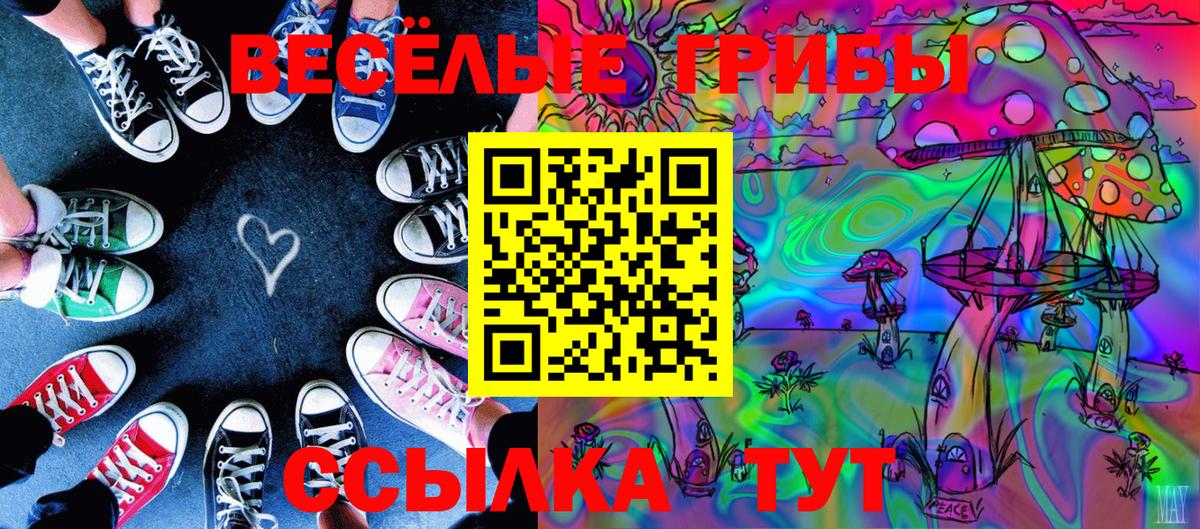 дарнет шоп  Галлюциногенные грибы GOLDEN TEACHER  Вход с VPN  Волгоград 
